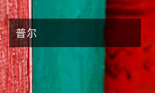 普爾