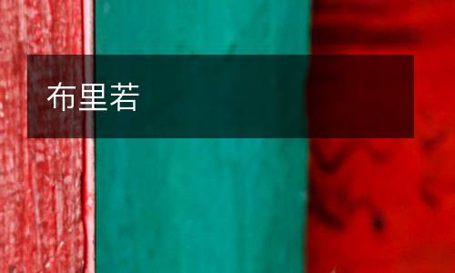 布里若