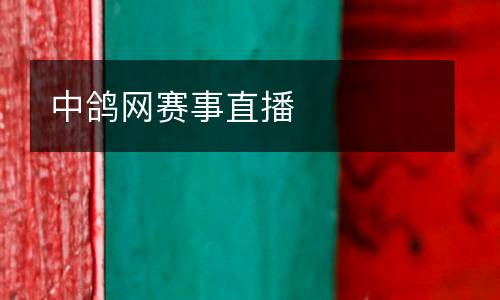 中鴿網(wǎng)賽事直播