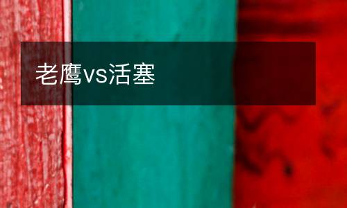 老鷹vs活塞