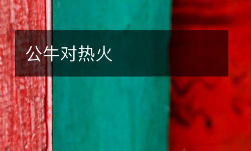 公牛對熱火