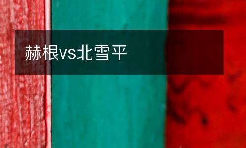 赫根vs北雪平