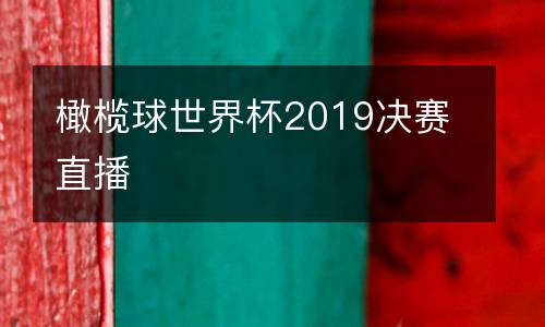 橄欖球世界杯2019決賽直播