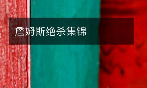 詹姆斯絕殺集錦