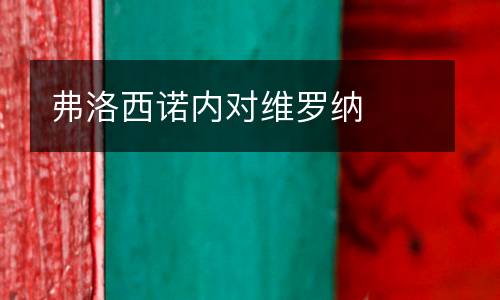 弗洛西諾內對維羅納